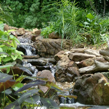 Doss Pond