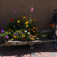 pots and flowers