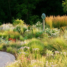 garden warm season grass