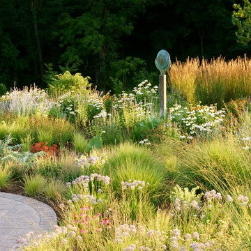 Contemporary Landscape