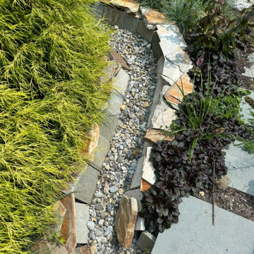 Water Management Habitat Rain Garden