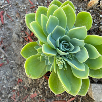 Outdoor Projects and Transformations