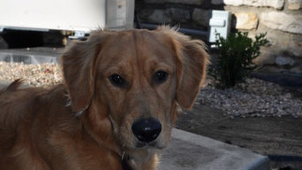 Tucker's new Ductless Minisplit