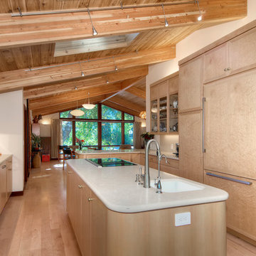 Contemporary Kitchen