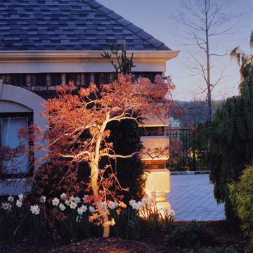 Landscape Lighting