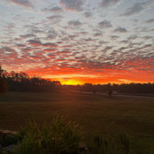 Robin Hayes's photo