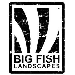 Big Fish Landscapes