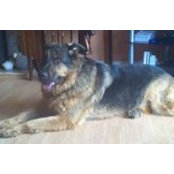 Peter Leggat's photo