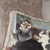 Cathy Pagani's photo