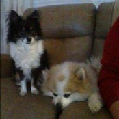 Thelma Davidson's photo