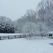Cece Taylor's photo