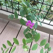 Deborah Agnew's photo