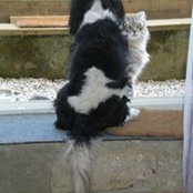 Yolande Domer's photo