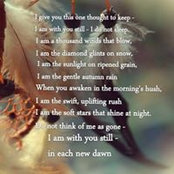 Sandy Wilkins's photo
