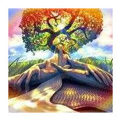 Benjamin Rogers's photo