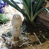 Roger'n Nancy StAmand's photo