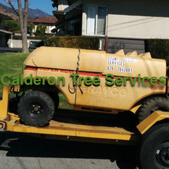 Calderon Tree Service