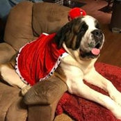 Tom Altman's photo