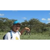 Sam Chans foto