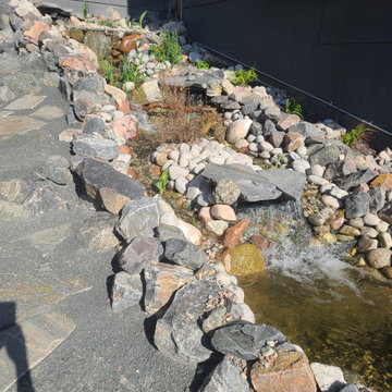 Custom✨ Koi Pond