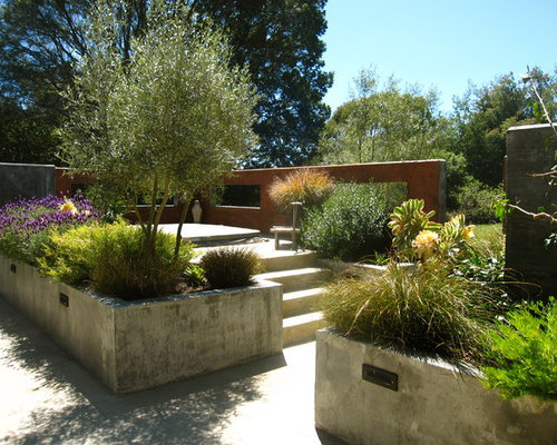 Concrete Planter  Houzz