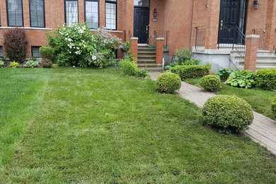 Project Landscaping