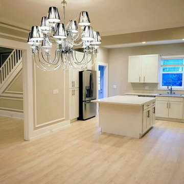 Kitchen Remodel/Renovation