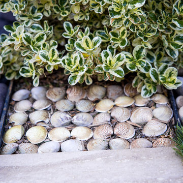 Alternative Paving Idea