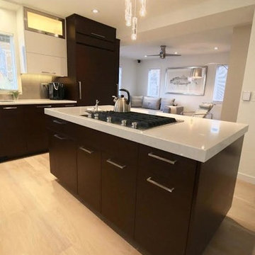 Bay Head Contemporary