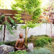 Garden New