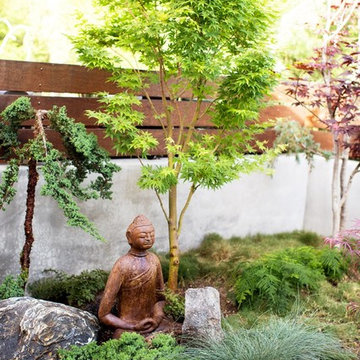 Zen Garden and Asian Inspired Landscape Plants