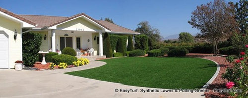 Beautiful Front Yard