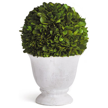 Boxwood Ball Topiary, Pot Small