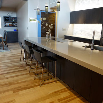 Baca + Moya entire home remodel and addition.