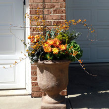 Pumpkins And Fall