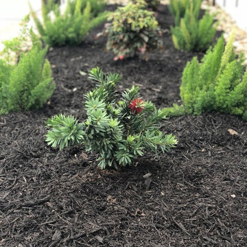 Cinco Ranch Rockery