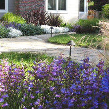 Drought-resistant vegetation