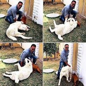 Osama Aldin's photo