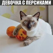 Елена Елена's photo