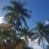 Photo de Ben V
