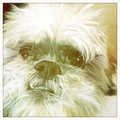 Megan Quick's photo