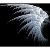 Donna Dilbeck's photo