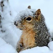 Lori Sherrer's photo