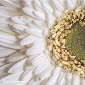 Carol Duncan's photo