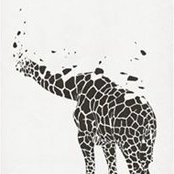 Nigel Jones's photo