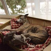 Caro Nik's photo