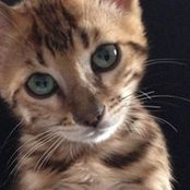 Charlene Barnes's photo