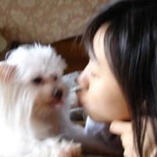 Simmy Luさんの写真
