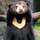 ashley_watson4716