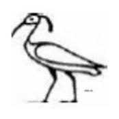 Anica Djordjevic's photo